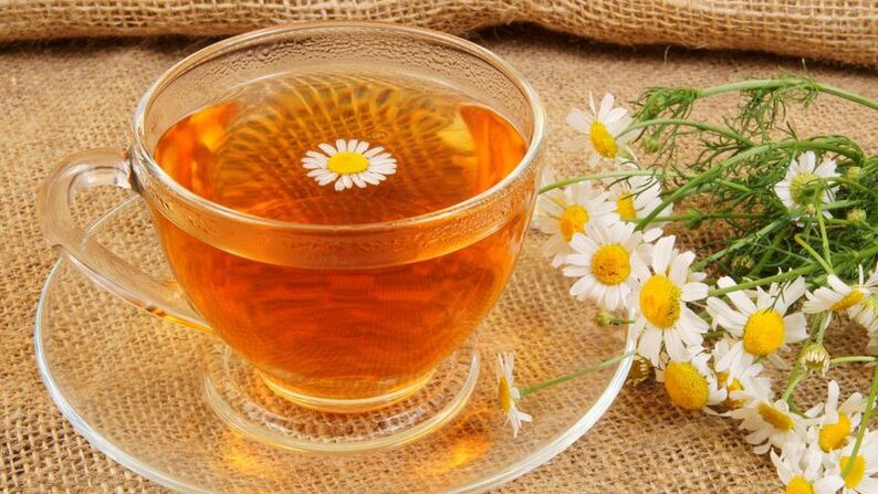 Decoction of chamomile for prostatitis